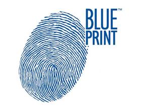 PRODUCTOS BLUE PRINT  Blue print