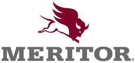 Meritor 21020818 - ARANDELA BLOCAJE ROR TM