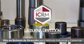 JUNTA TORICA  ICRM