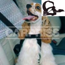 Accesorio 71434801 - CINTURON PARA PERROS TALLA M(MEDIANO)